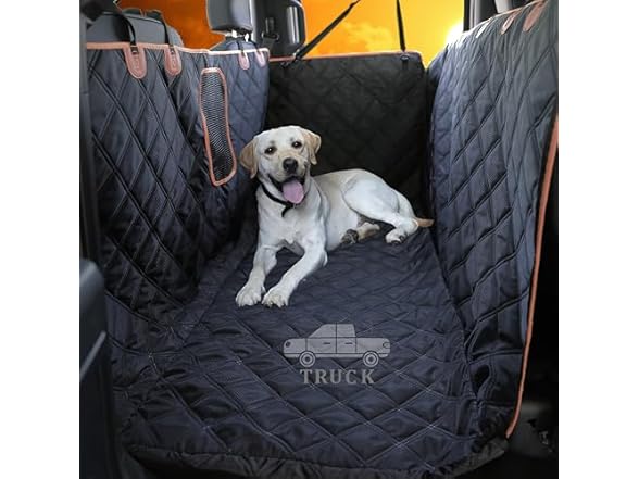 Ablechien Waterproof Dog Floor Hammock