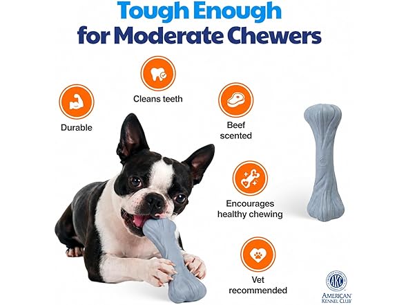 American Kennel Club Training Dog Chew Toy, Large PP Bone