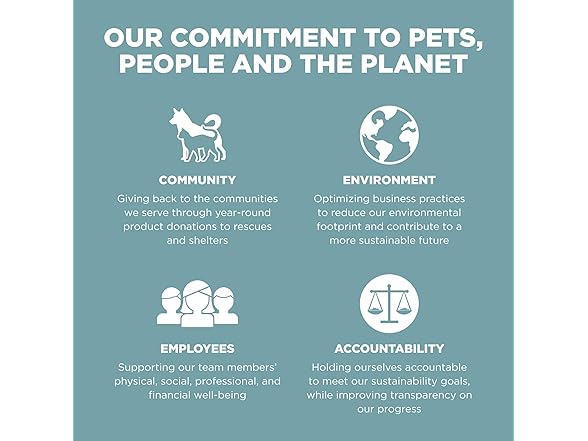 Go! Solutions Dry Cat Food, Chicken, 3lb