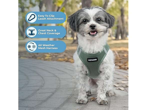 Best Pet Supplies Voyager Step-in Air Harness Moss Green, M