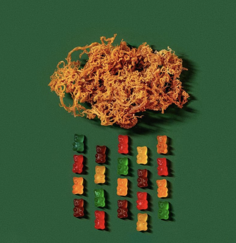 2pk TrueSeaMoss Sea Moss/Elderberry Gummies Combo - Gallery 10