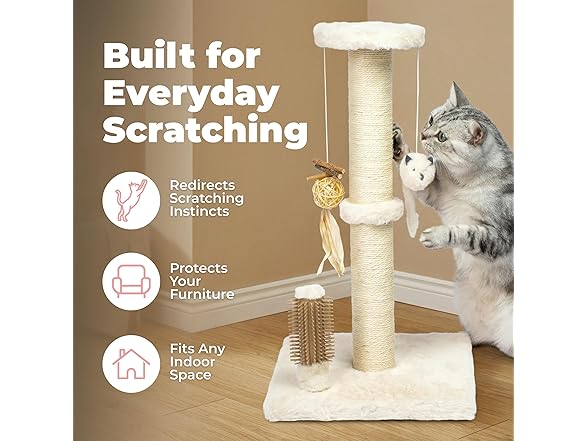 Best Pet Supplies Catify Cat Scratcher