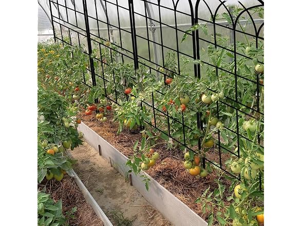 LZRS 4 Pack 71x20in Garden Trellis