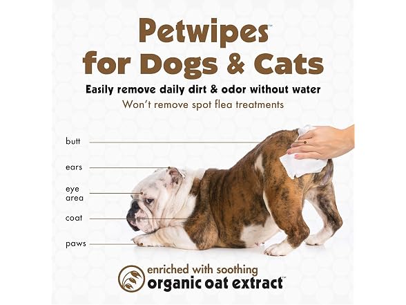 Petkin Pet Wipes for Dogs and Cats, Oatmeal, 100 Wipes