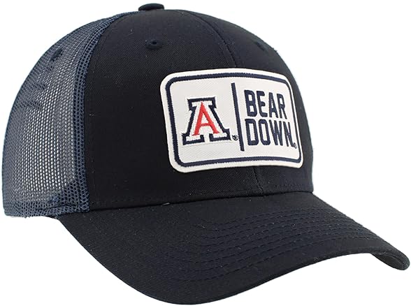 WILDCATS Snapback Big Rig Patch Team