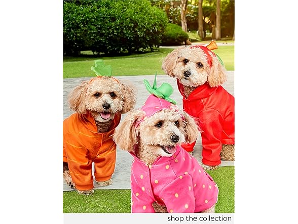 Rubies Carrot Pet Costume for Dogs or Cats, Medium