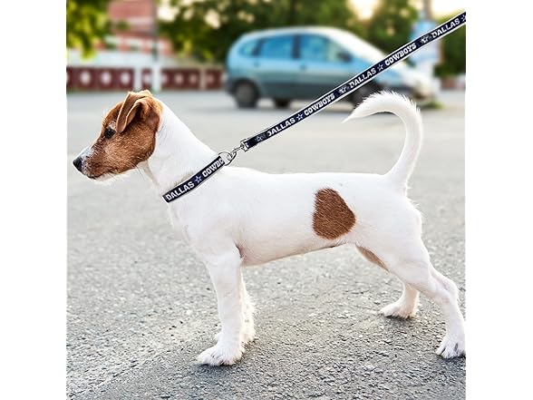 Pets First Dallas Cowboys Pet Collar - L