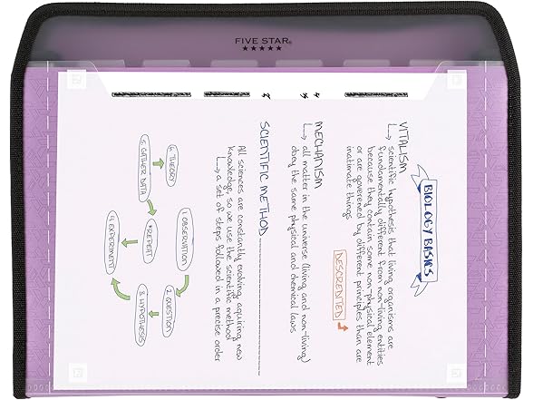 Five Star Five Star Expanding File Organizer