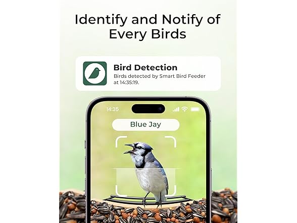 TT Nature 3L Smart Bird Feeder Camera