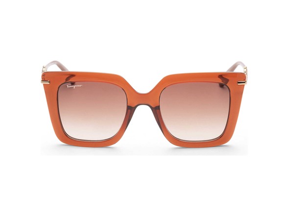 Ferragamo Women's 51mm Brown Sunglasses