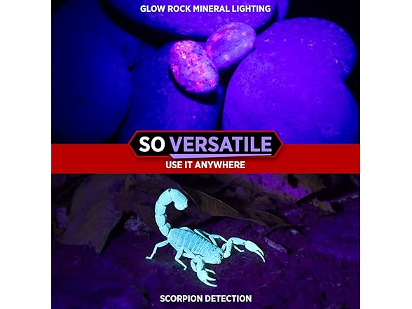 GearLight UV Flashlight Pet Stain Finder