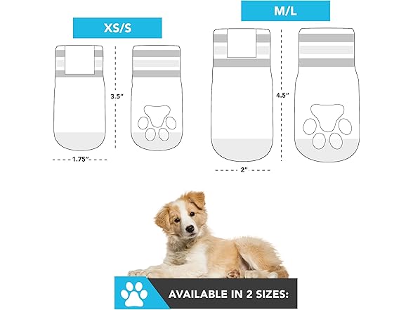 NFL Philadelphia Eagles Anti Slip Dog Socks w - Gallery 5