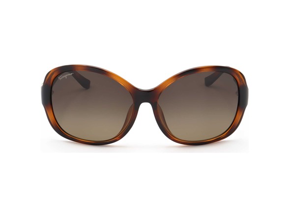 Ferragamo Women's 59mm Brown Sunglasses