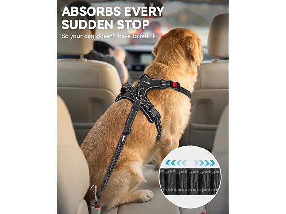 Joytale 3-in-1 Bungee Dog Seat Belt