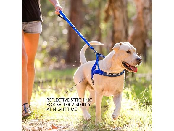 EzyDog Quick Fit Dog Harness, Soft Neoprene