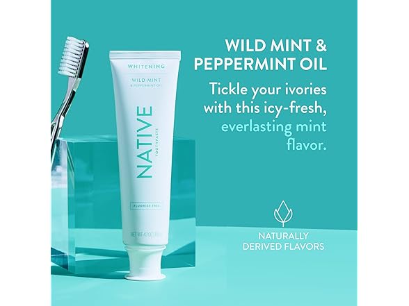 Native Wild Mint Toothpaste 4.1oz