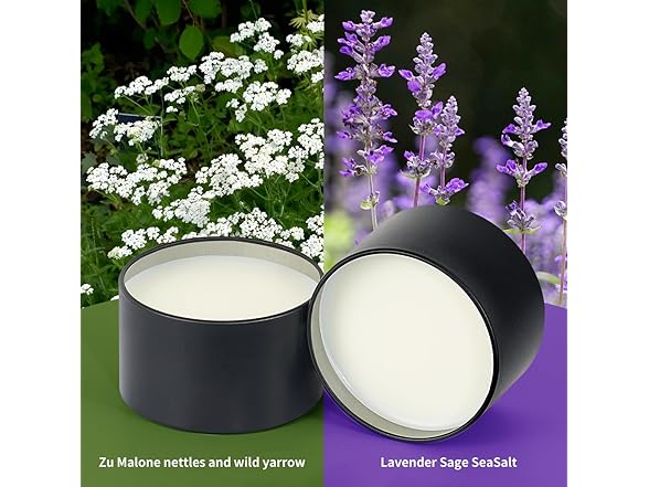 Crystal Candle Warmer Lamp