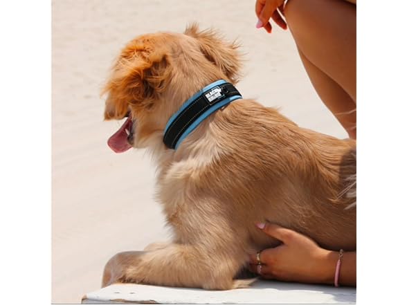 Black Rhino XL Dog Collar - Heavy Duty
