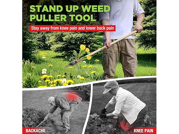 WORKPRO Weed Puller Tool Pick Color