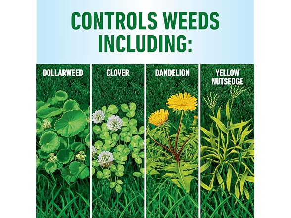 Roundup for Lawns Concentrate,  32 fl. oz.
