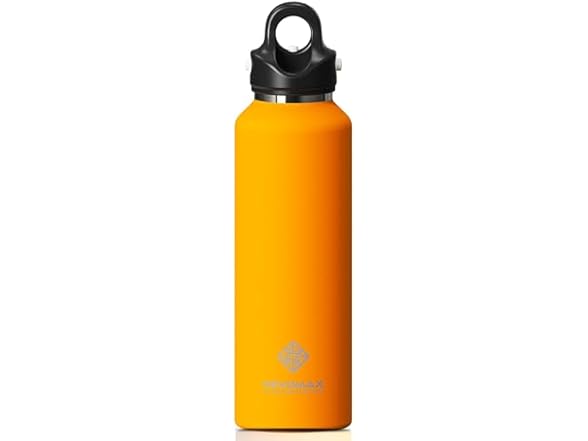 RevoMax 20oz Insulated Water Bottle