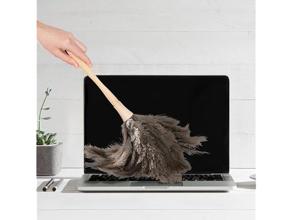 Superio Ostrich Feather Duster Fluffy Dust Remover