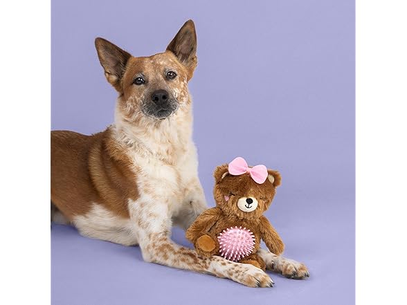 Fringe Studio Plush Squeaky Dog Toy with Spiky TPR Ball