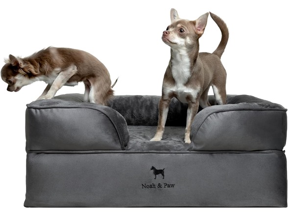 NOAH & PAW Dog/Cat Sofa- Medium