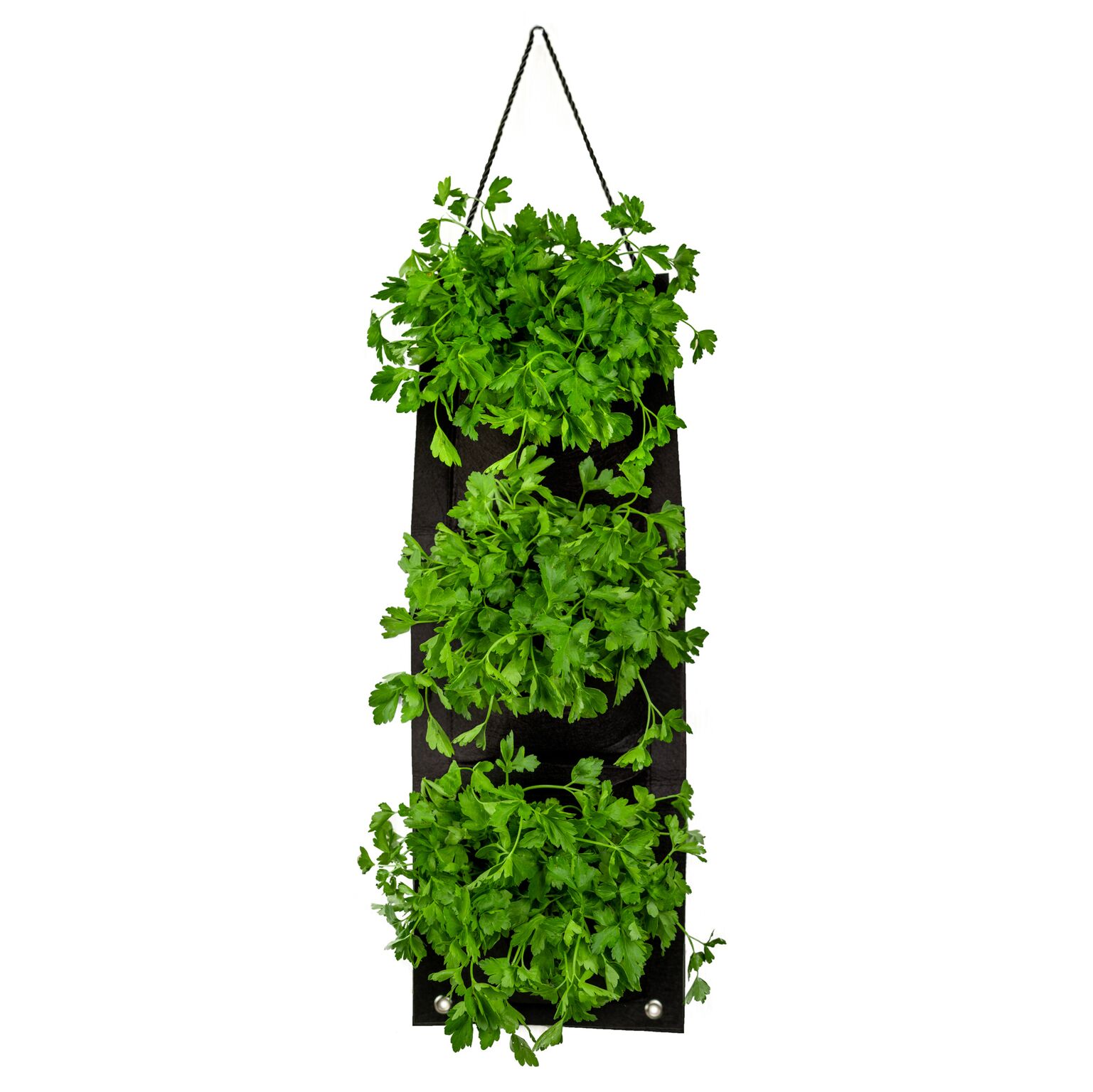 Touch Of ECO Organic Hanging Herb Kit - Gallery 14