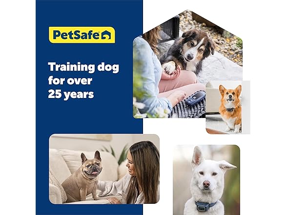 PetSafe Clik-R Training Tool Clicker Trainer