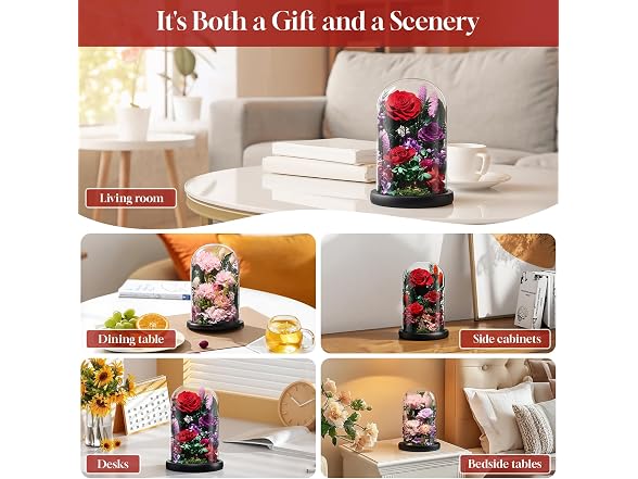 CuteWelt Preserved Roses
