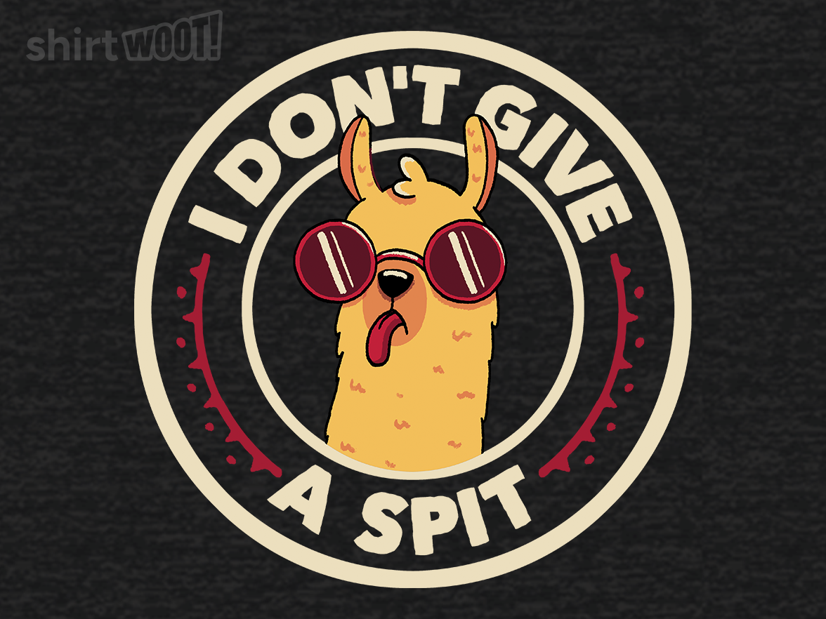 I Don't Give a Spit - Remix - Gallery 9