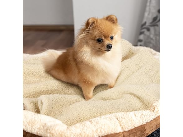 furrybaby Premium Dog Blanket 24"x32"