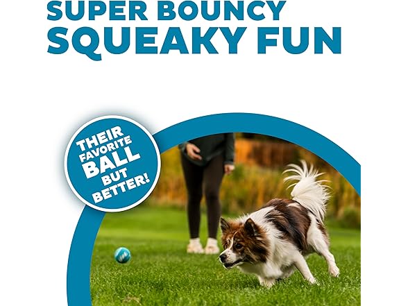 Outward Hound Squeaker Ballz 4-Pack
