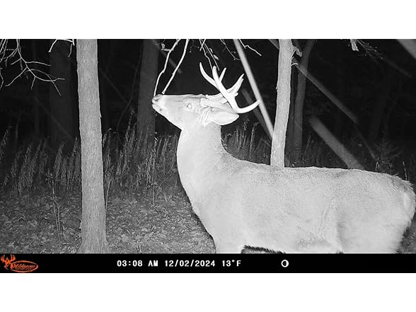 (3 PACK) Wildgame Innovations Insite-V Cellular Trail Camera 32 MP, 80ft Detection