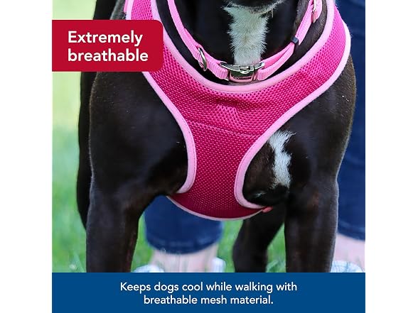Coastal Pet Comfort Soft Wrap Adjustable Dog