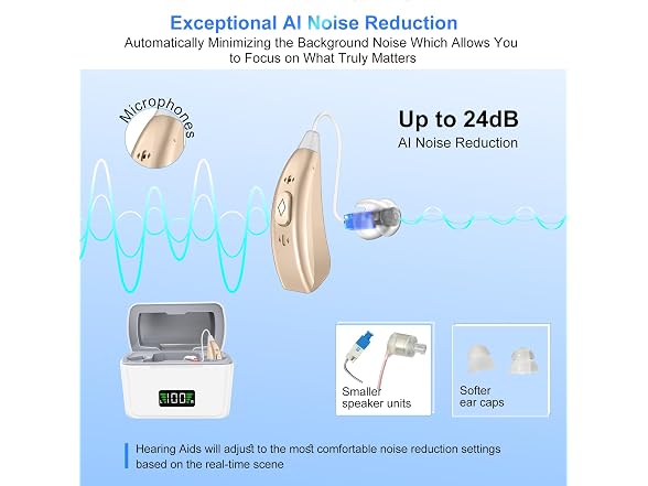 16-Channel Rechargeable Hearing Aids