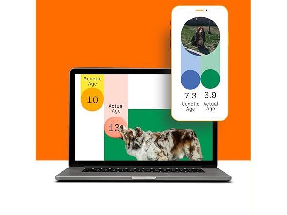 DNA MY DOG Premium Test