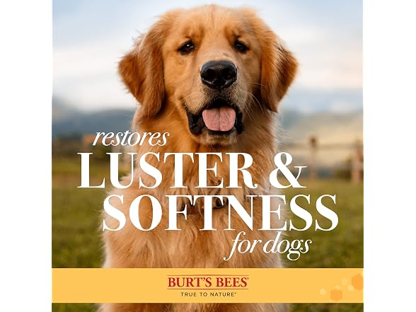 Burt's Bees for Pets Dog Brush for Shedding, Pin &