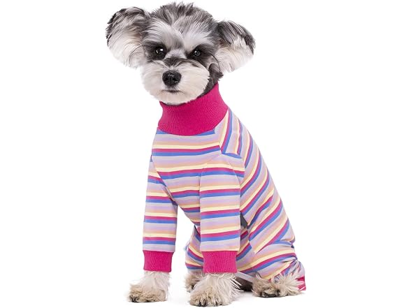 Dog Surgery Recovery Suit for Small Dogs, 4-