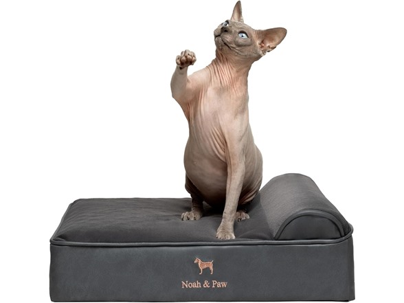 NOAH & PAW Orthopedic Dog Beds- Small