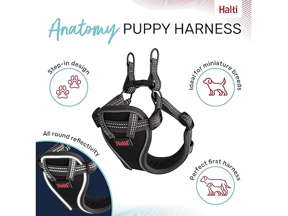 HALTI Anatomy Puppy Harness - Provides Y