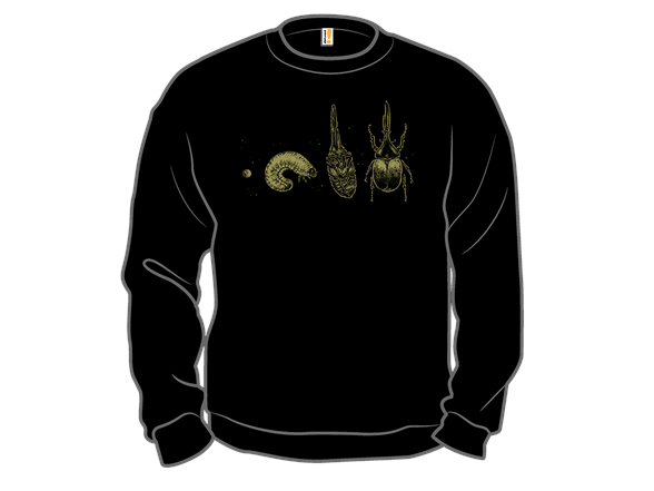 Beetle Life Cycle