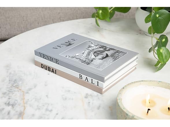 Generic  Set of 3 Decorative Books