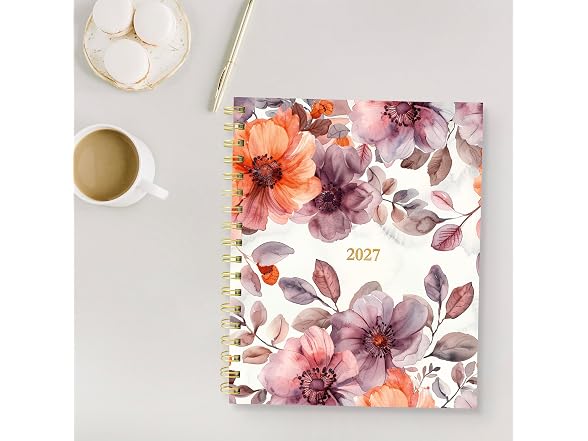 Blueline® 17-Month Monthly Planner