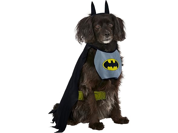 DC Comics Superheroes: Batman Pet Costume for