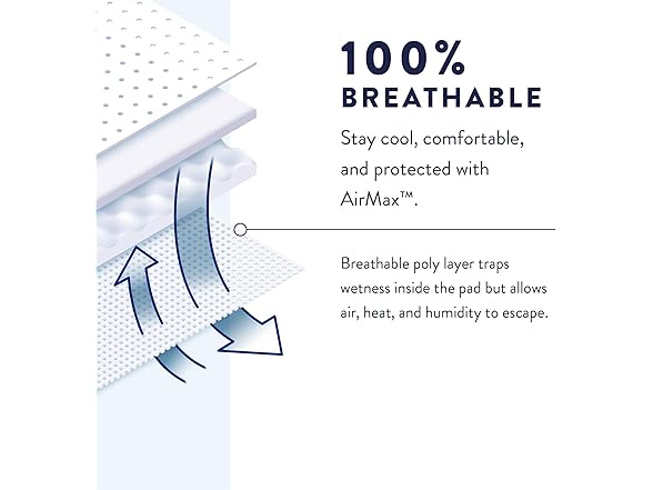 Prevail Daily Underwear Adult Underwear