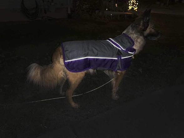 Derby Originals Safety Reflective 1200D Rips