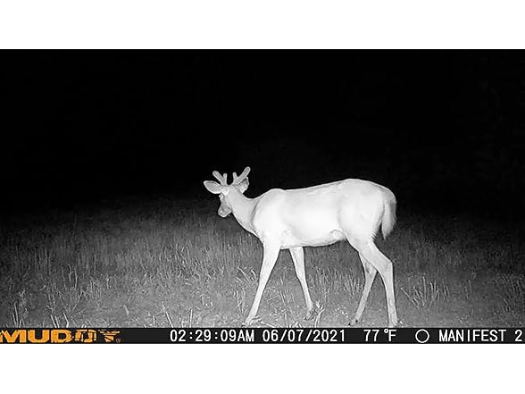 (3 PACK) Muddy Manifest 2.0 Cellular Trail Camera