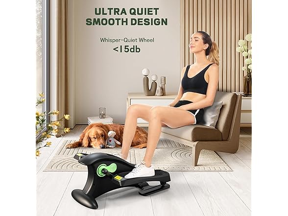 UPREIGN Under Desk Elliptical